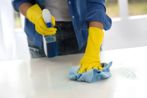 Recycling and sustainability efforts for a greener carpet cleaning service