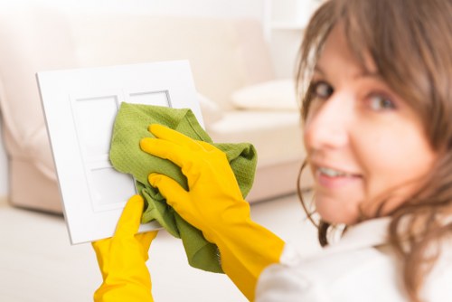 Professional carpet cleaner inspecting a room for safety precautions